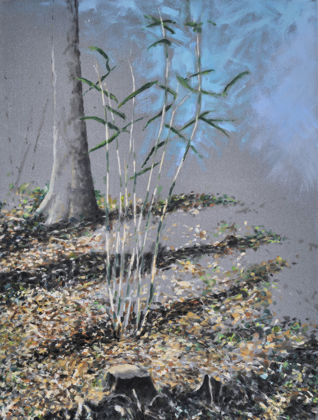Baby bamboos