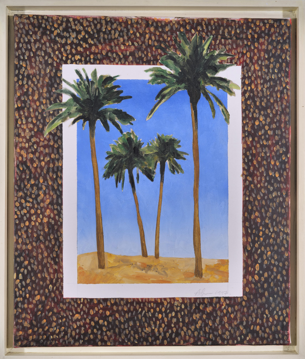 Sand Dune Study