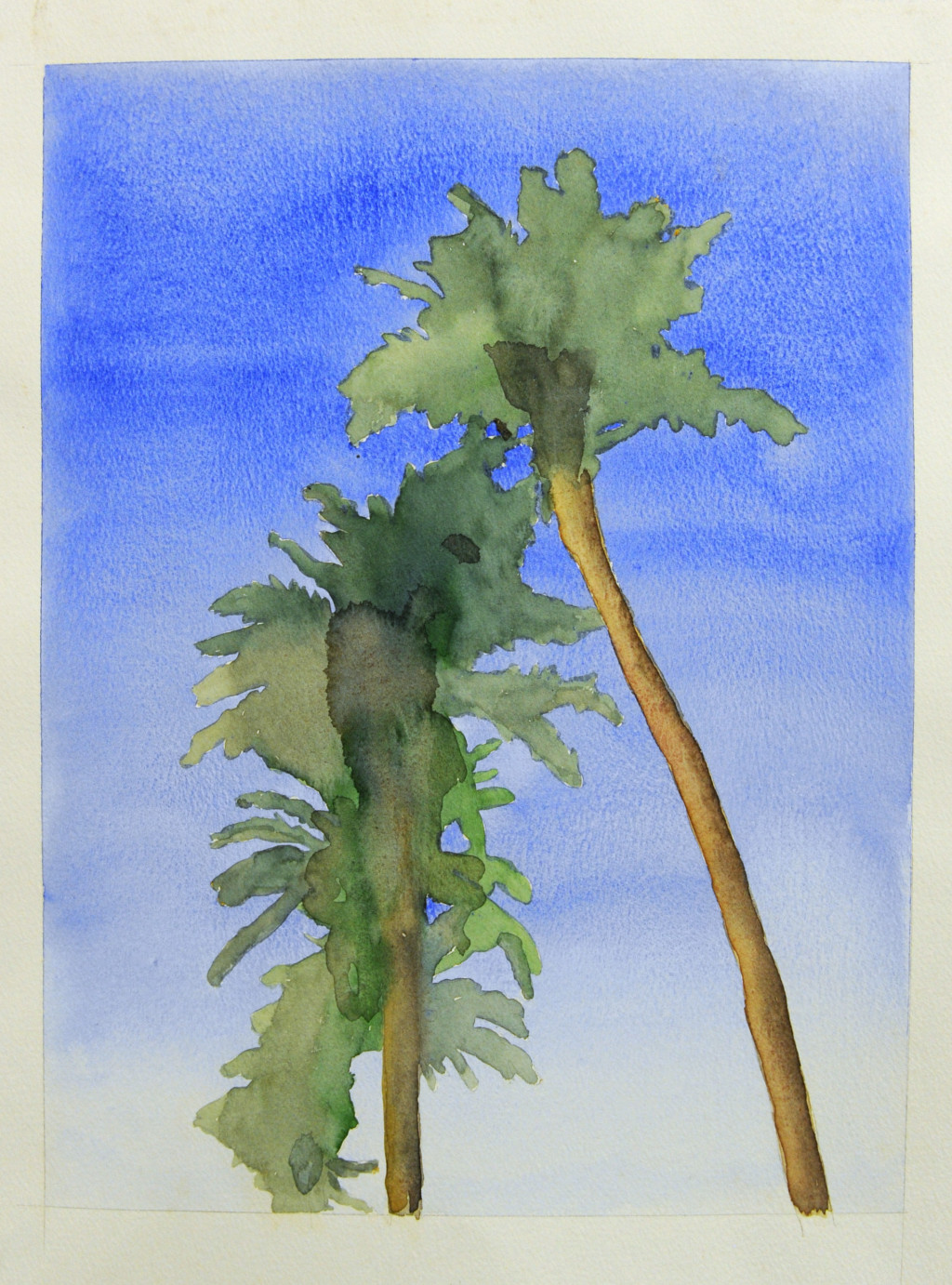 Palm Tree Study (Three Trees)